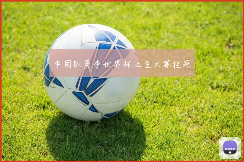 中国队勇夺世界杯土豆大赛桂冠