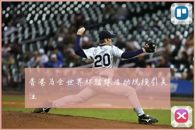 香港马会世界杯赌球活动规模引关注