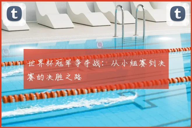 世界杯冠军争夺战:从小组赛到决赛的决胜之路