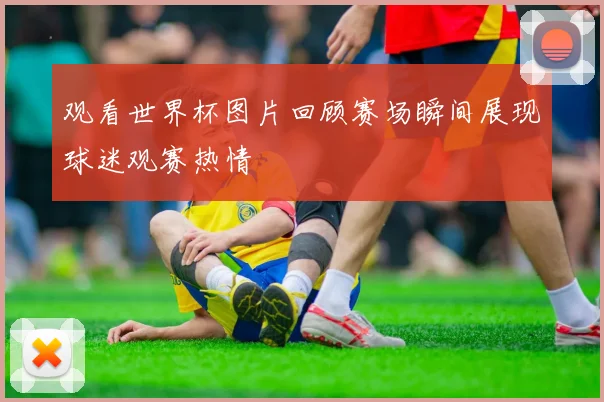 观看世界杯图片回顾赛场瞬间展现球迷观赛热情