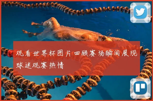观看世界杯图片回顾赛场瞬间展现球迷观赛热情